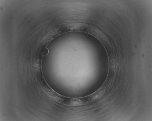 X0000074240510200608251142