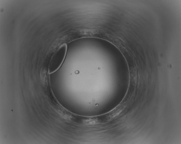 X0000074240511200608251142