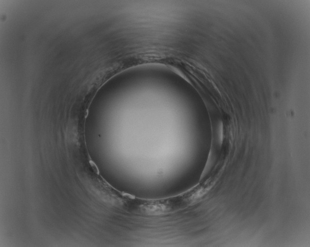 X0000074240512200608251142