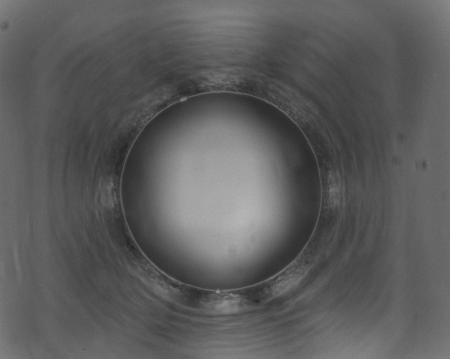 X0000074240514200608251142