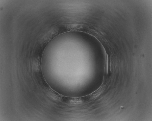 X0000074240515200608251142