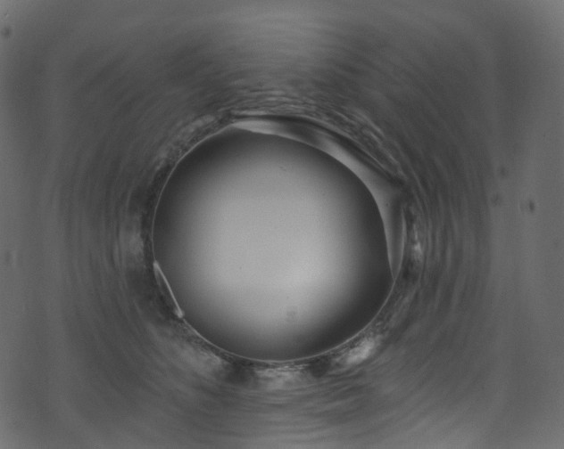 X0000074240516200608251142