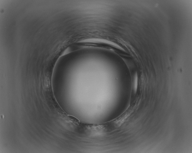 X0000074240517200608251142