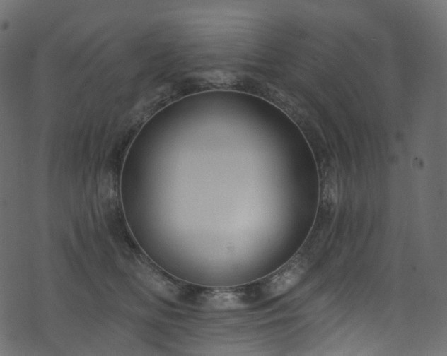 X0000074240518200608251142