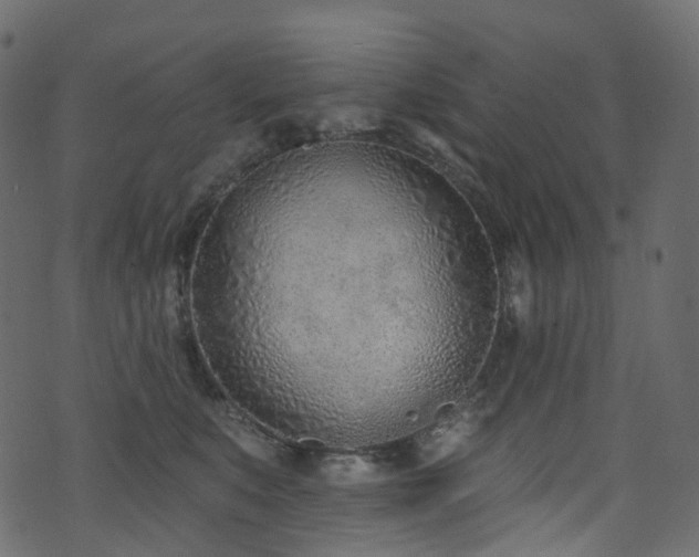 X0000074240519200608251142