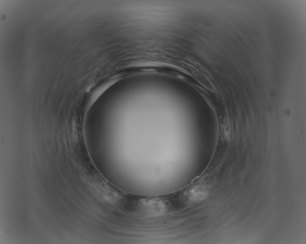 X0000074240520200608251142