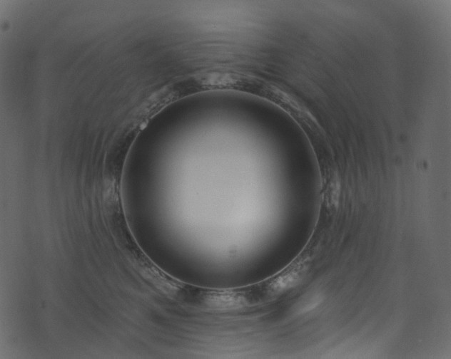 X0000074240521200608251142