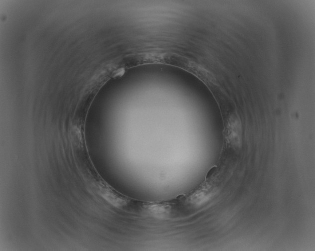 X0000074240522200608251142