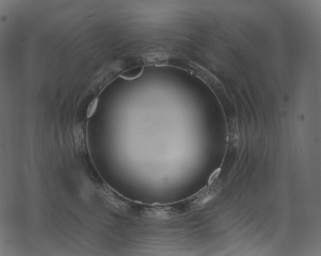 X0000074240523200608251142