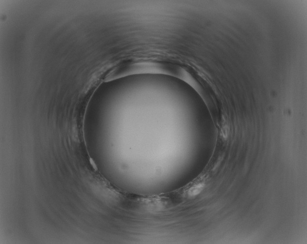 X0000074240524200608251142