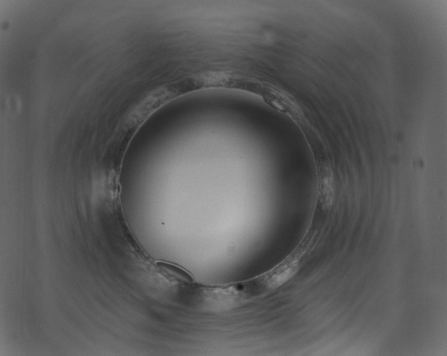 X0000074240525200608251142