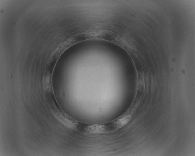 X0000074240526200608251142