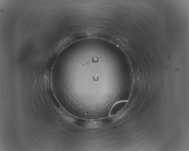 X0000074240527200608251142