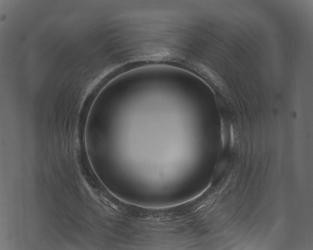 X0000074240532200608251141