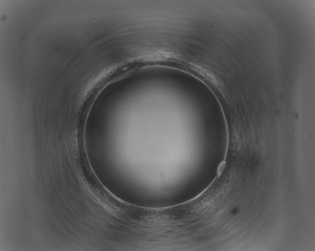 X0000074240535200608251141