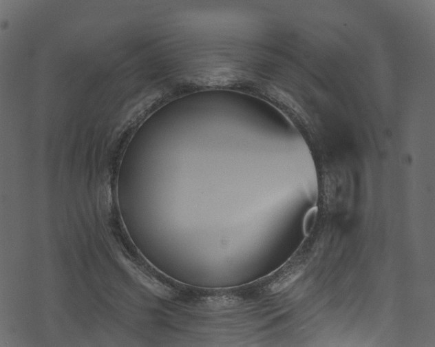 X0000074240541200608251141