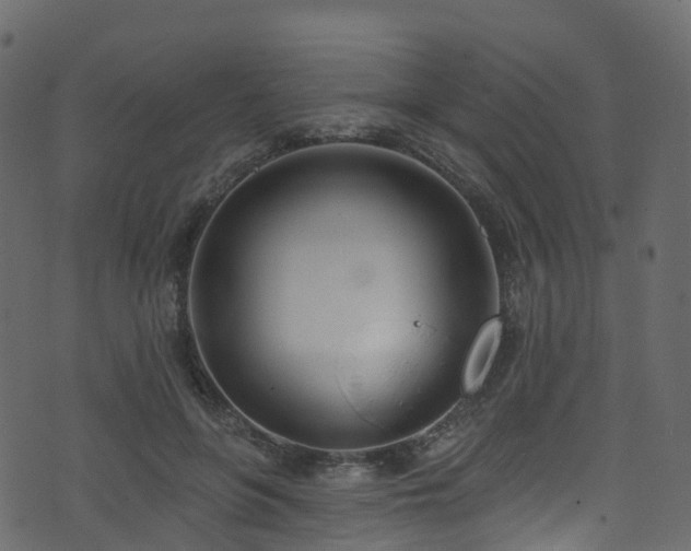 X0000074240551200608251141