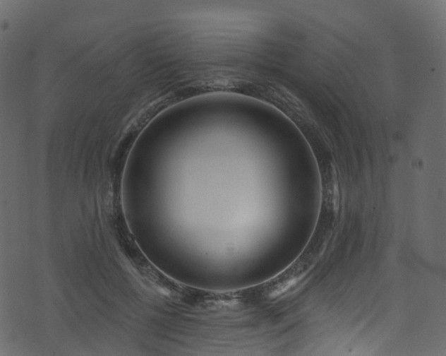 X0000074240552200608251141