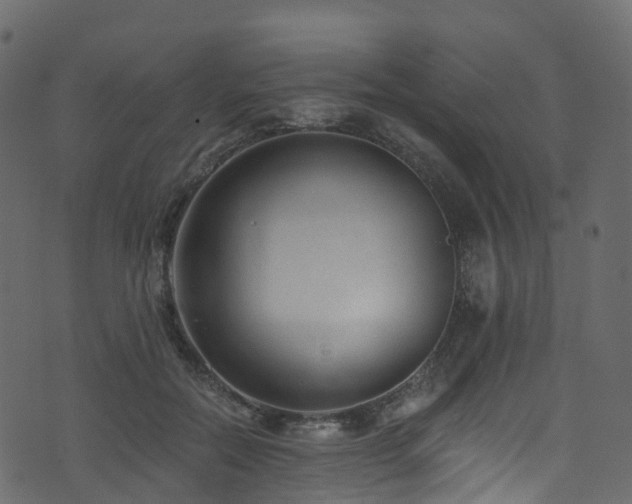 X0000074240554200608251141