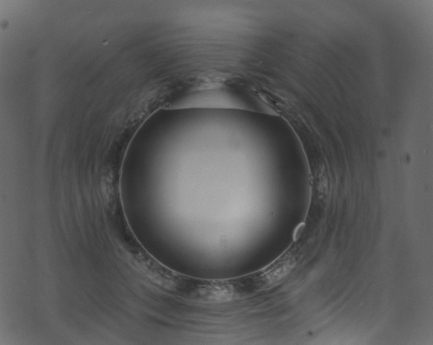 X0000074240559200608251141