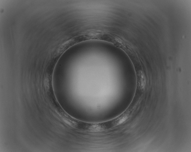 X0000074240562200608251141