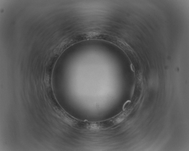 X0000074240565200608251141