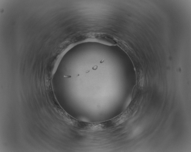 X0000074240569200608251141