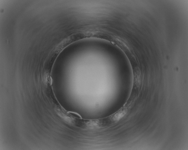 X0000074240574200608251141