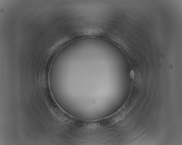 X0000074240587200608251141