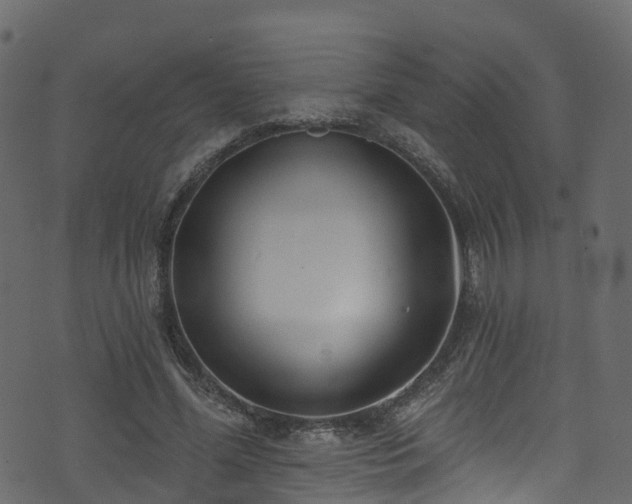 X0000074240588200608251141