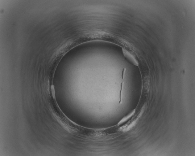 X0000074240589200608251140