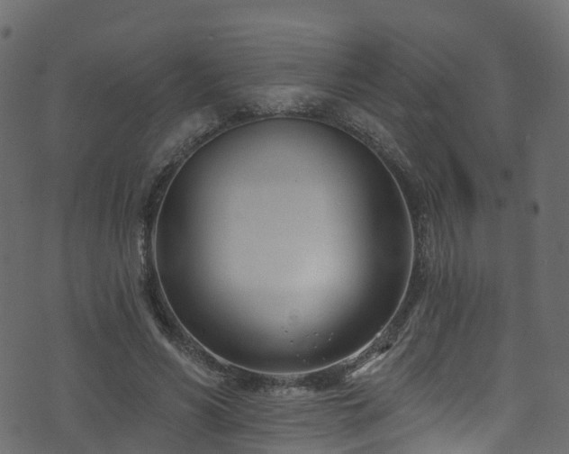 X0000074240590200608251140