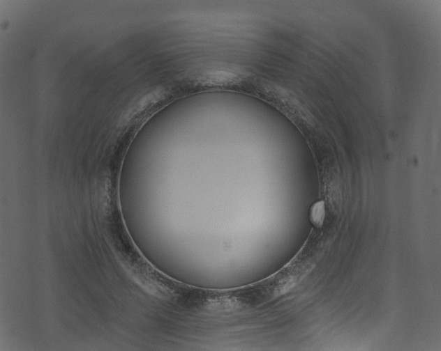 X0000074240591200608251140