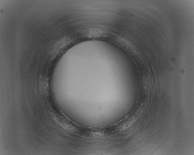 X0000074240592200608251140