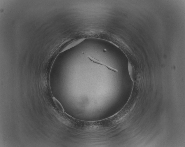 X0000074240593200608251140