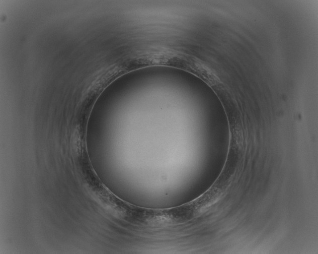 X0000074240594200608251140