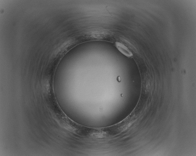 X0000074240595200608251140