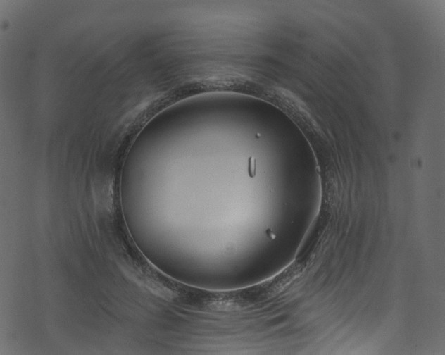 X0000074240596200608251140