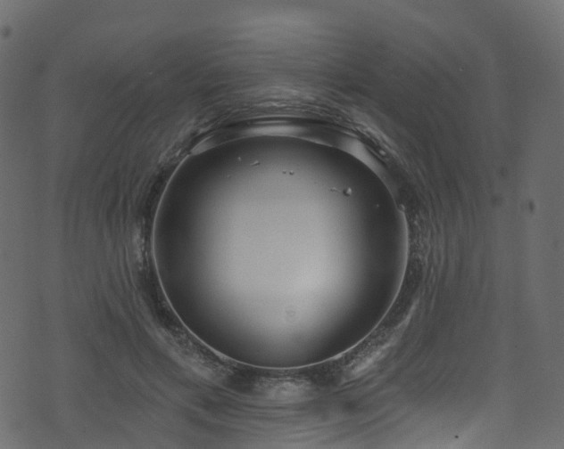 X0000074240597200608251140