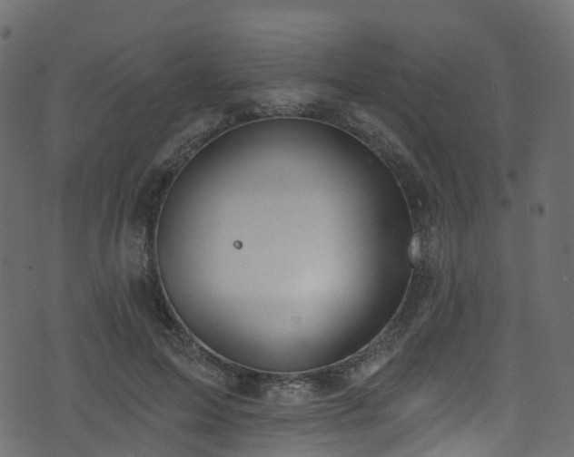 X0000074240599200608251140