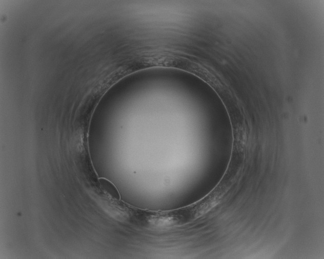 X0000074240602200608251140