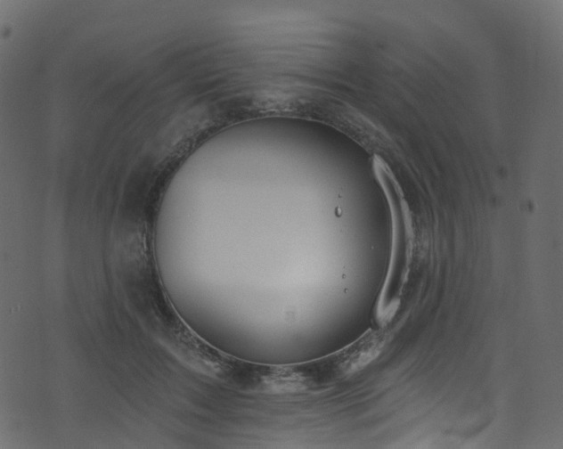 X0000074240603200608251140