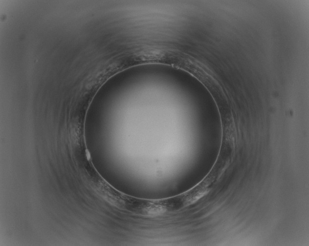 X0000074240604200608251140