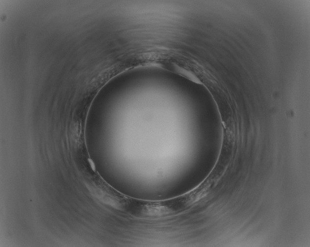 X0000074240605200608251140