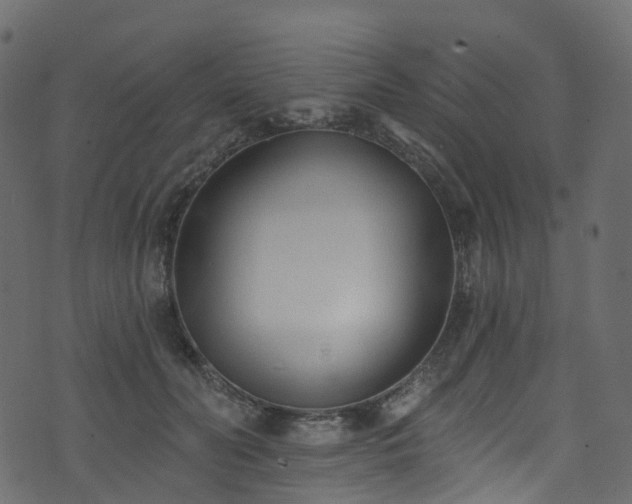 X0000074240606200608251140