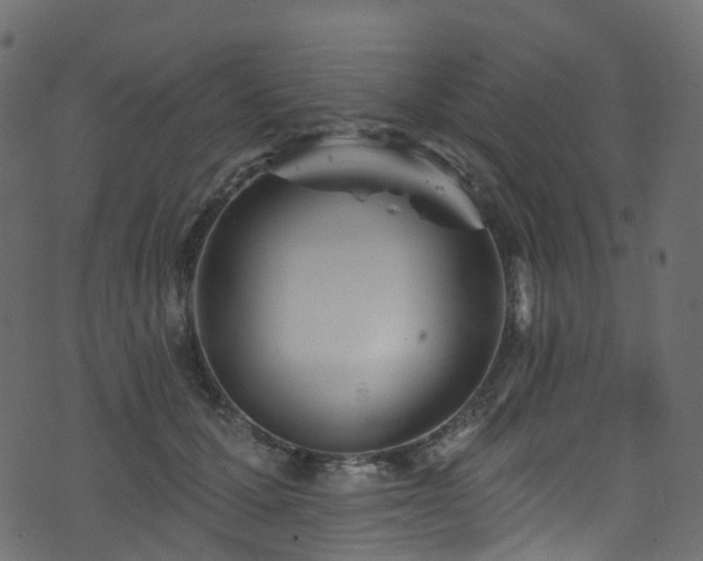 X0000074240607200608251140