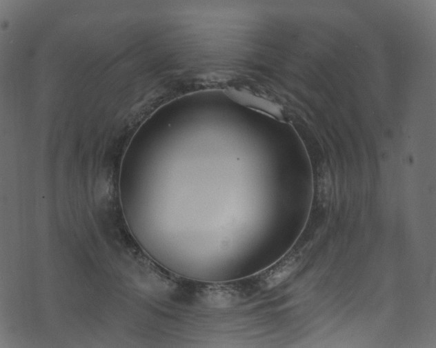 X0000074240608200608251140