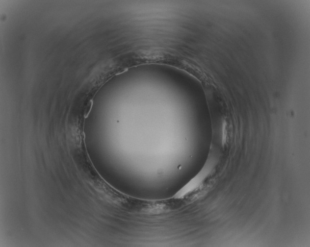 X0000074240609200608251140