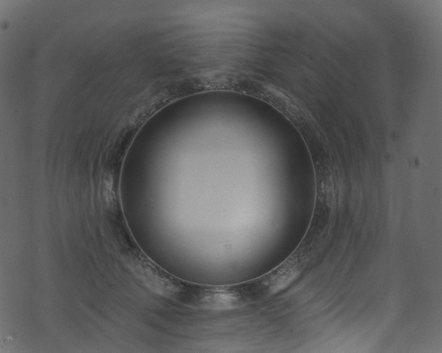 X0000074240610200608251140