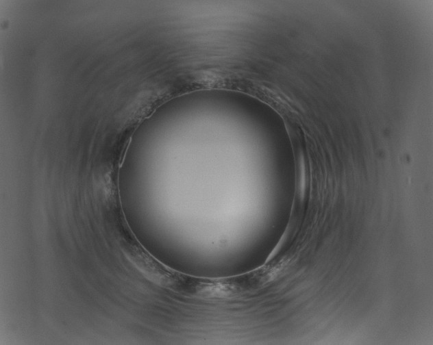 X0000074240611200608251140